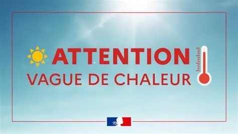 PLAN CANICULE