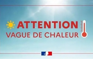 PLAN CANICULE